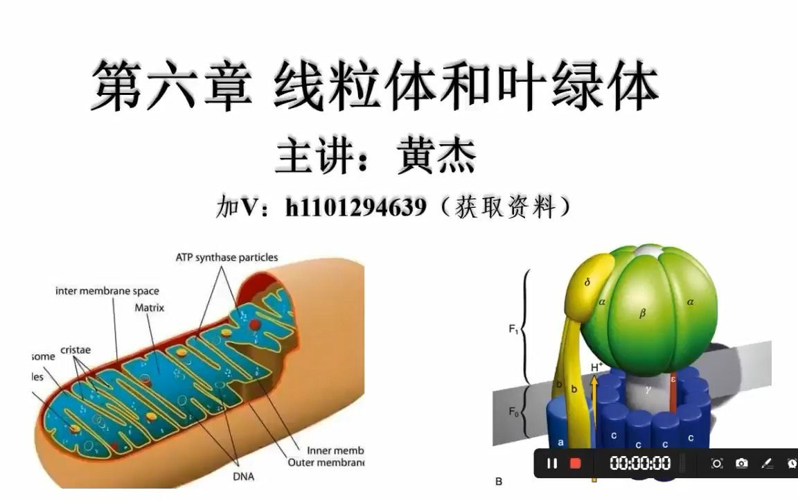 [图]5.3 内共生起源学说（生物竞赛）（考研）（新高考）