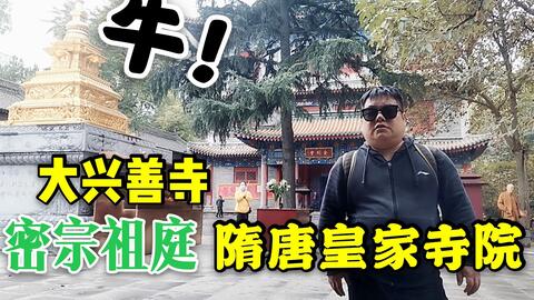 位于西安小寨繁华商圈的大兴善寺 距今1700年 全国重点开放寺院 哔哩哔哩 つロ干杯 Bilibili 位于西安小寨繁华商圈的大兴善寺 距今1700年 全国重点开放寺院 哔哩哔哩 つロ干杯 Bilibili