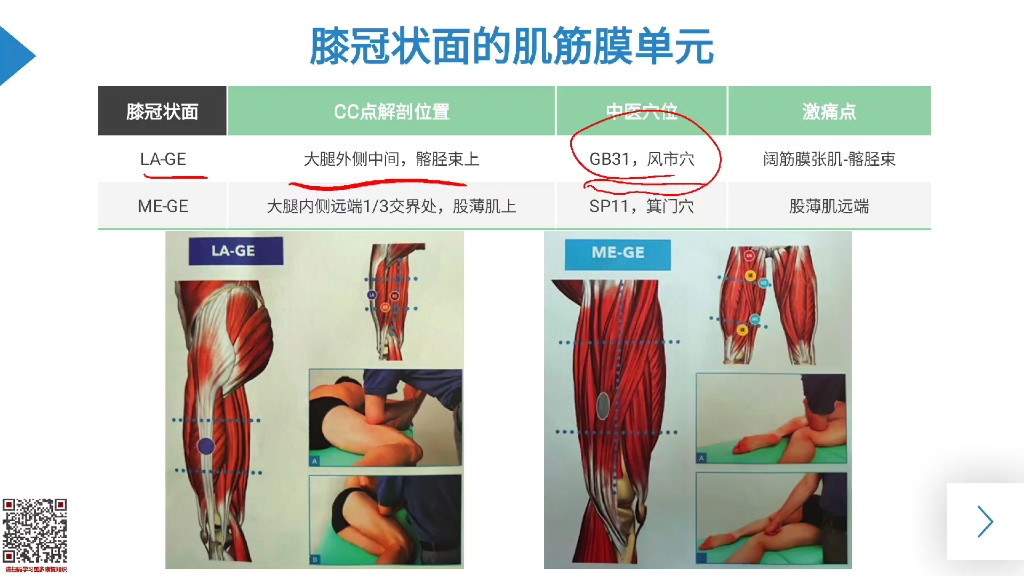 意大利筋膜理论fm系列课程5,冠状面哔哩哔哩bilibili