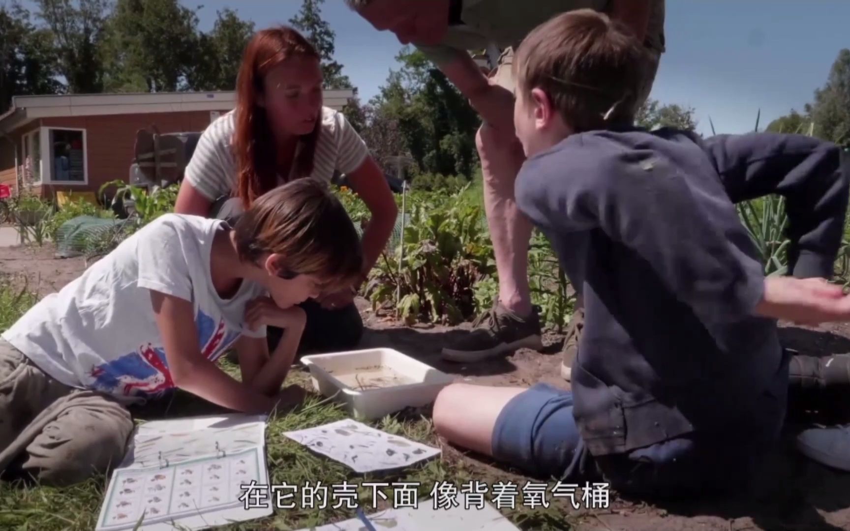 [图]这样生动的自然生物课哪个孩子不喜欢呢？《菜园学堂》在菜园池塘观察水生物，而不是在书本上