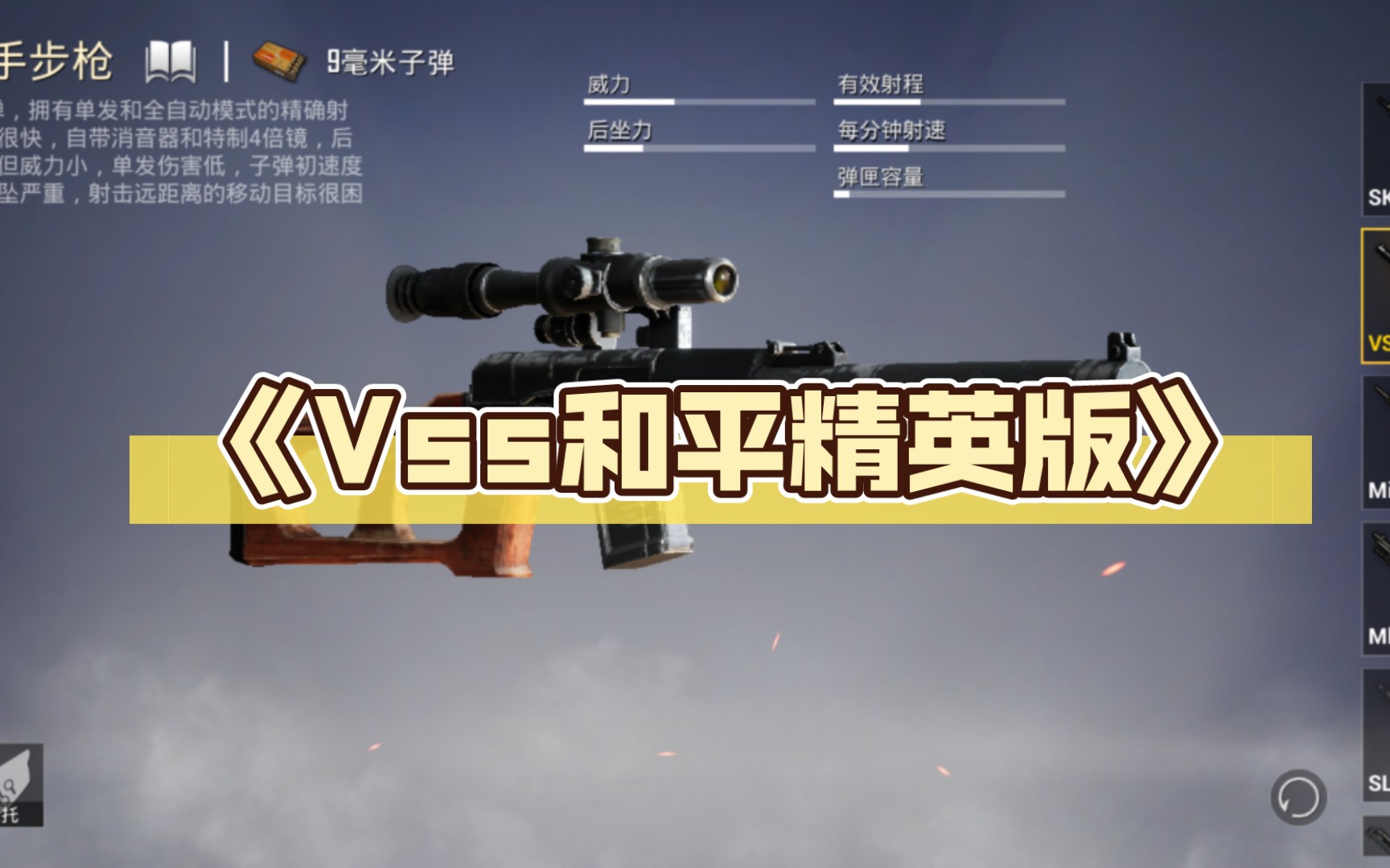 《vss和平精英版》