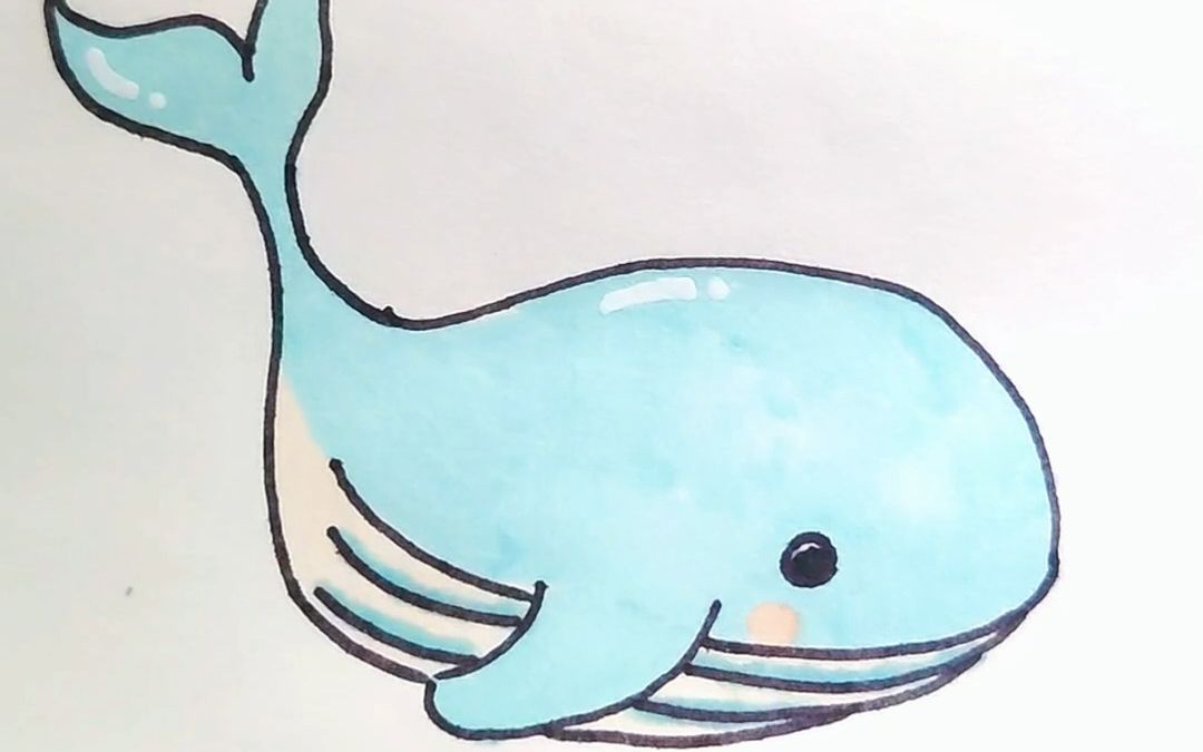 鲸鱼怎么画才好看可爱图片