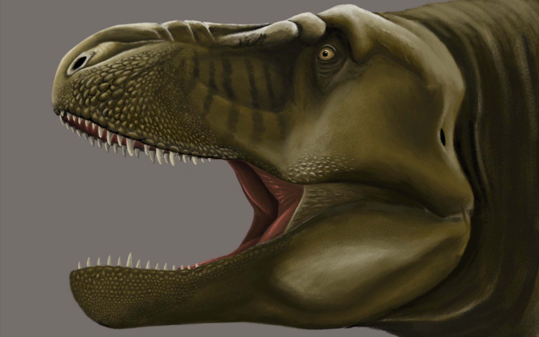 指绘——霸王龙头部特写