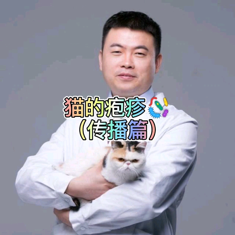 猫疱疹病毒最常见的传播方式哔哩哔哩bilibili