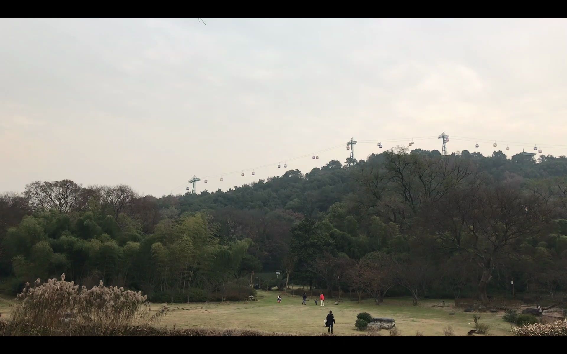 [图]初秋的东湖磨山是什么样的 景色怡然 万物的生机依旧盎然