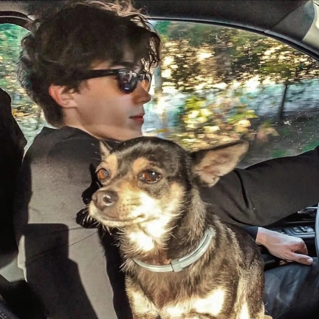 谁能拒绝帅哥头像