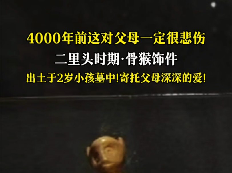 真的被4000年前父母之爱感动到!二里头2岁小孩墓出土骨猴,寄托父母深深地爱!哔哩哔哩bilibili