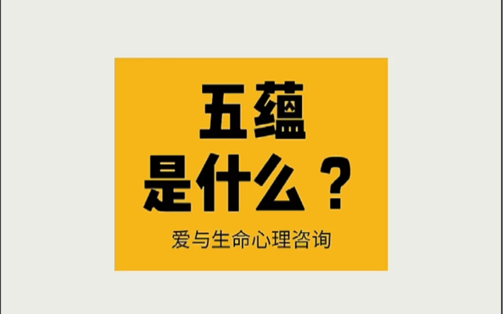 [图]27-『五蕴』是什么？