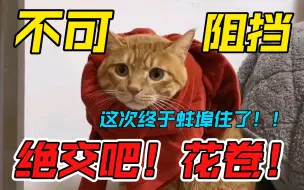 Download Video: 真·无敌破坏王！我要和它绝交！一万年的那种！