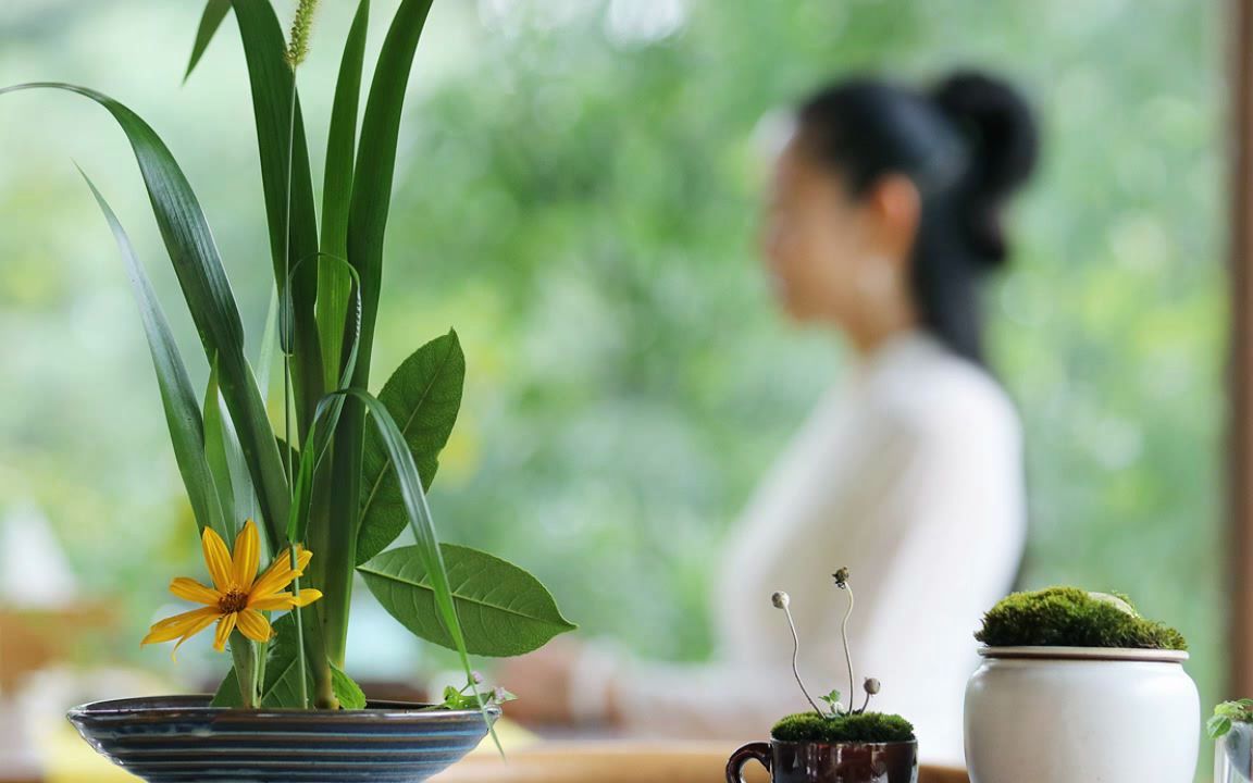 [图]荷心.深度催眠与疗愈