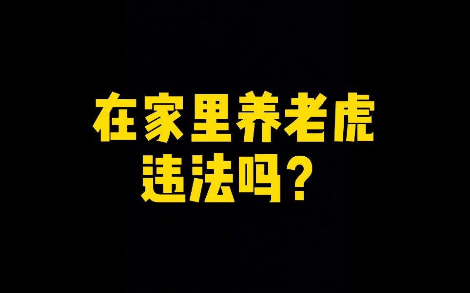 在家里养老虎违法吗?祝大家新年快乐,新的一年里都养的起老虎哔哩哔哩bilibili