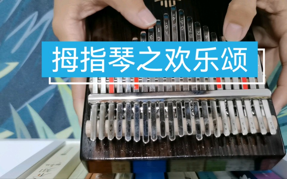 新手拇指琴练习之欢乐颂坚持练习拇指琴的某一天