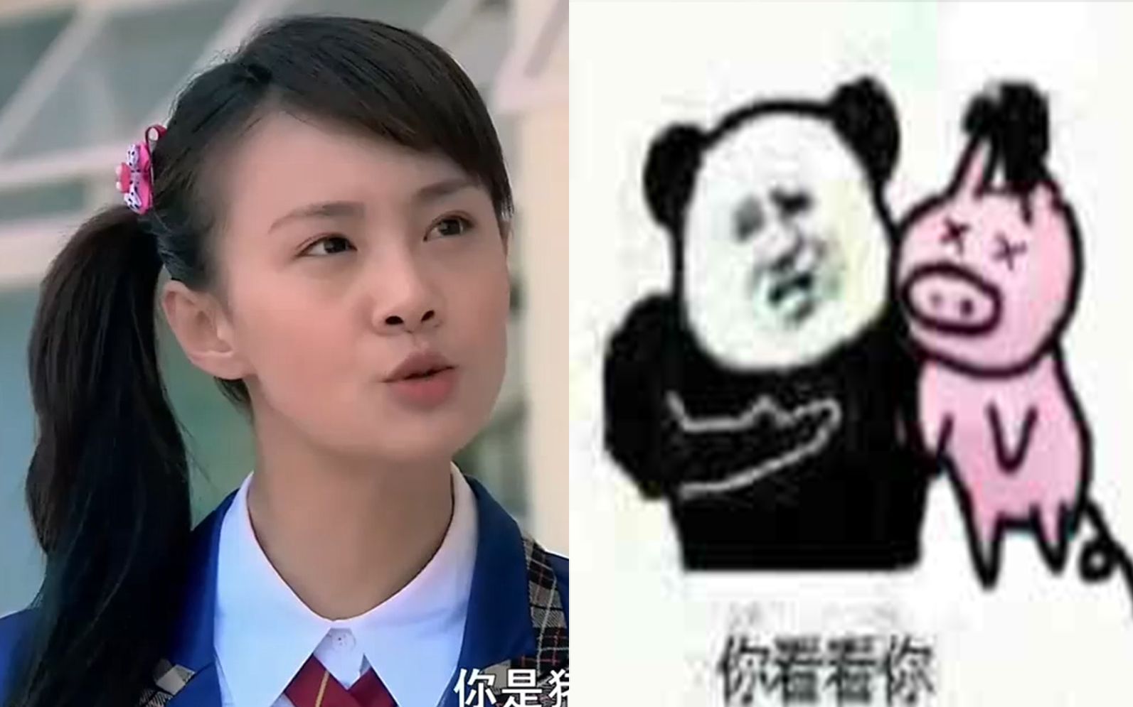 【你是猪】今天我终于领会到笑出猪叫的奥义！ - 视频下载 Video Downloader
