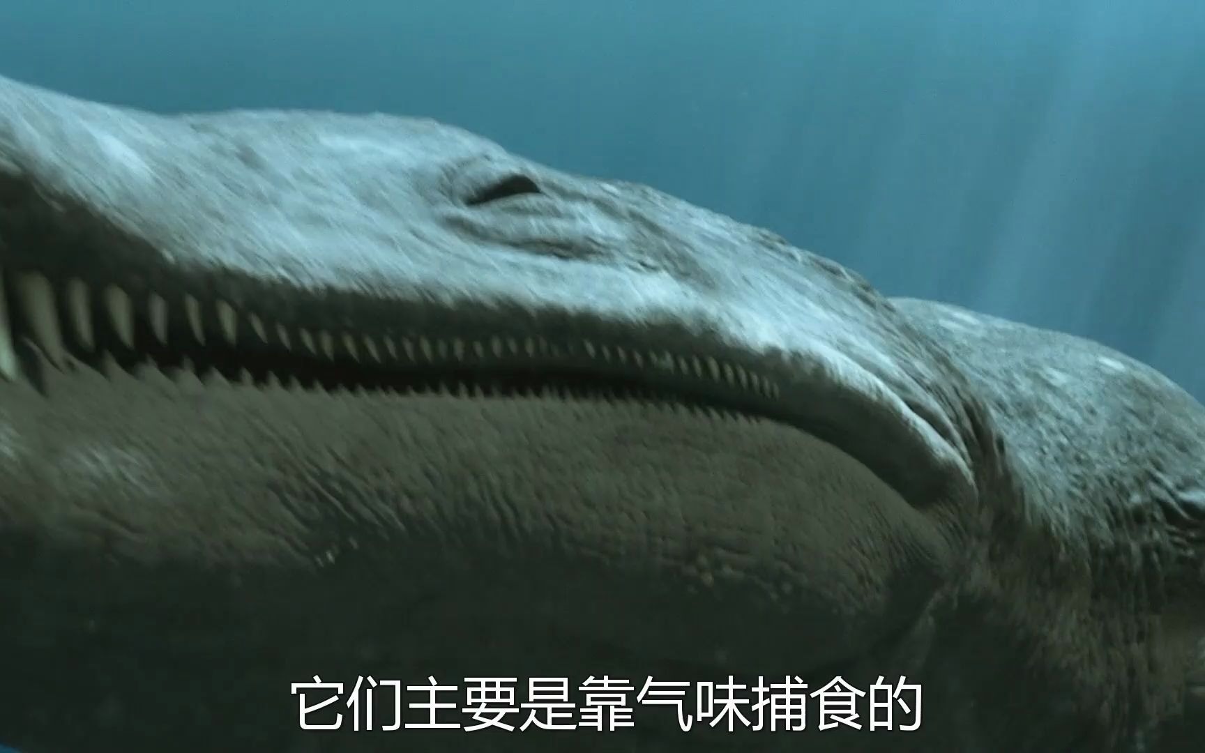沧龙有多恐怖,25米白垩龙一口闷,暴虐龙只是弟弟