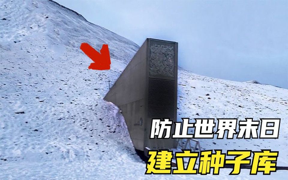 [图]7个偏远神秘的建筑，北极深山处建立种子库，防止世界末日？