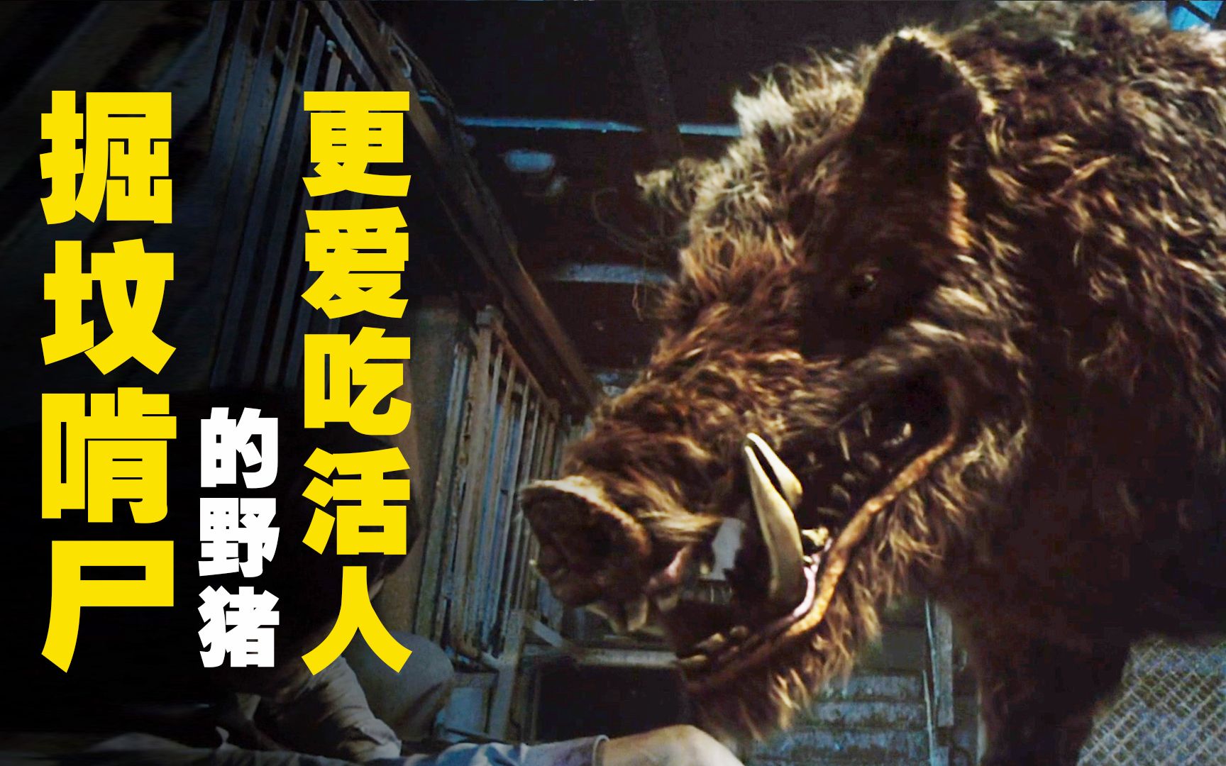 野猪幼崽被害,疯狂报复猎人,最终还是没能斗过人类,惊悚片电影