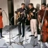 The Seekers - I'll Never Find Another You (HQ Stereo, 1964/'