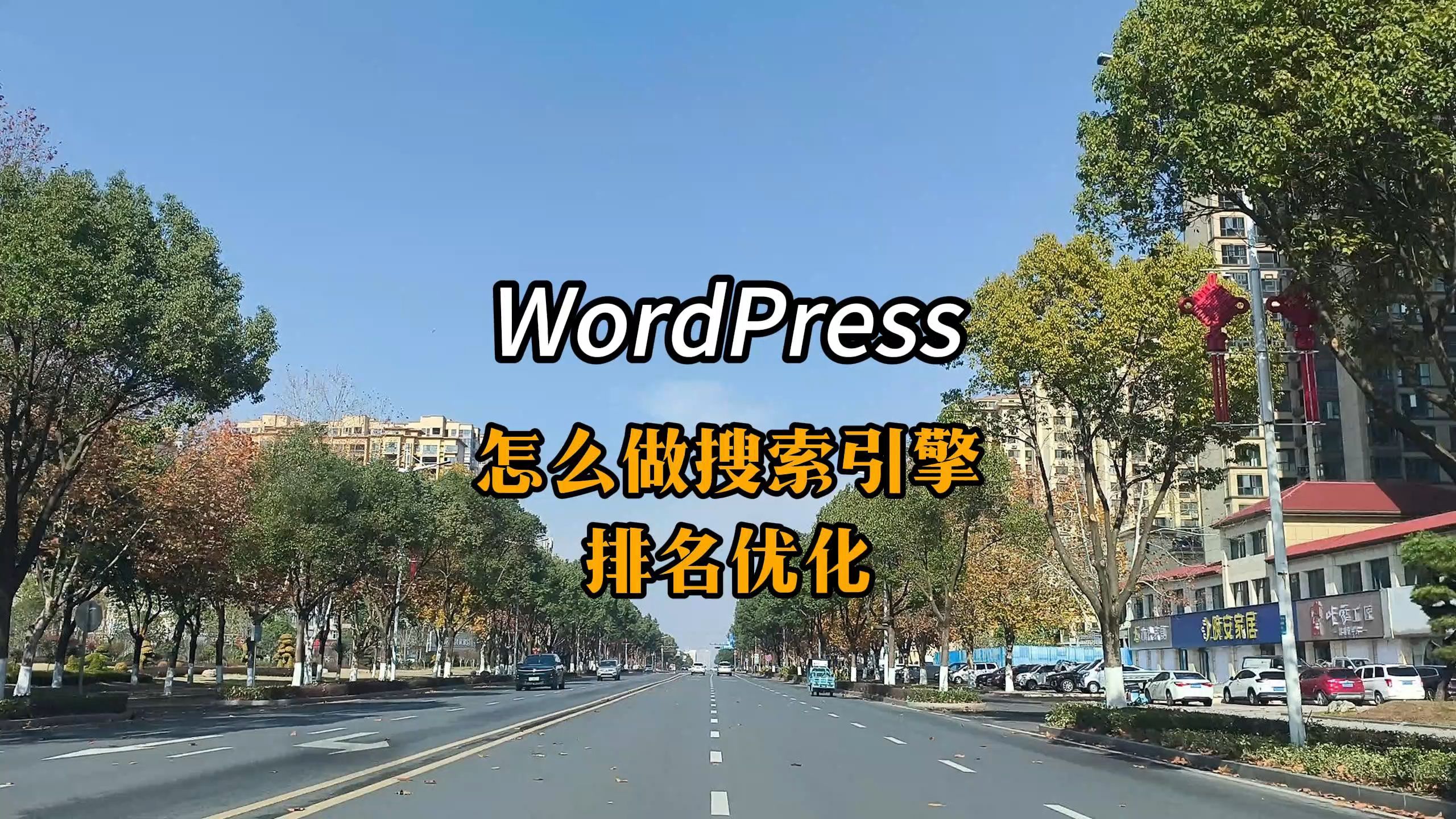 wordpress网站怎么做搜索引擎排名优化?哔哩哔哩bilibili