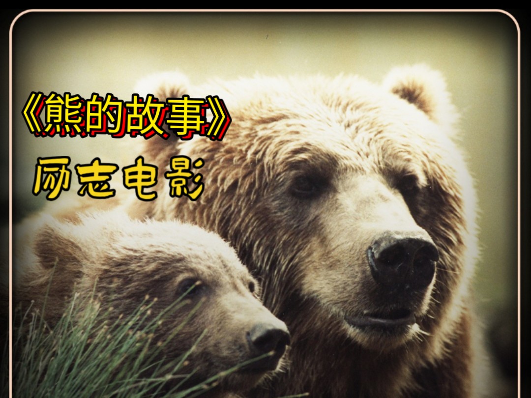 真实故事改编,恨能挑起争端而爱能遮掩一切过错