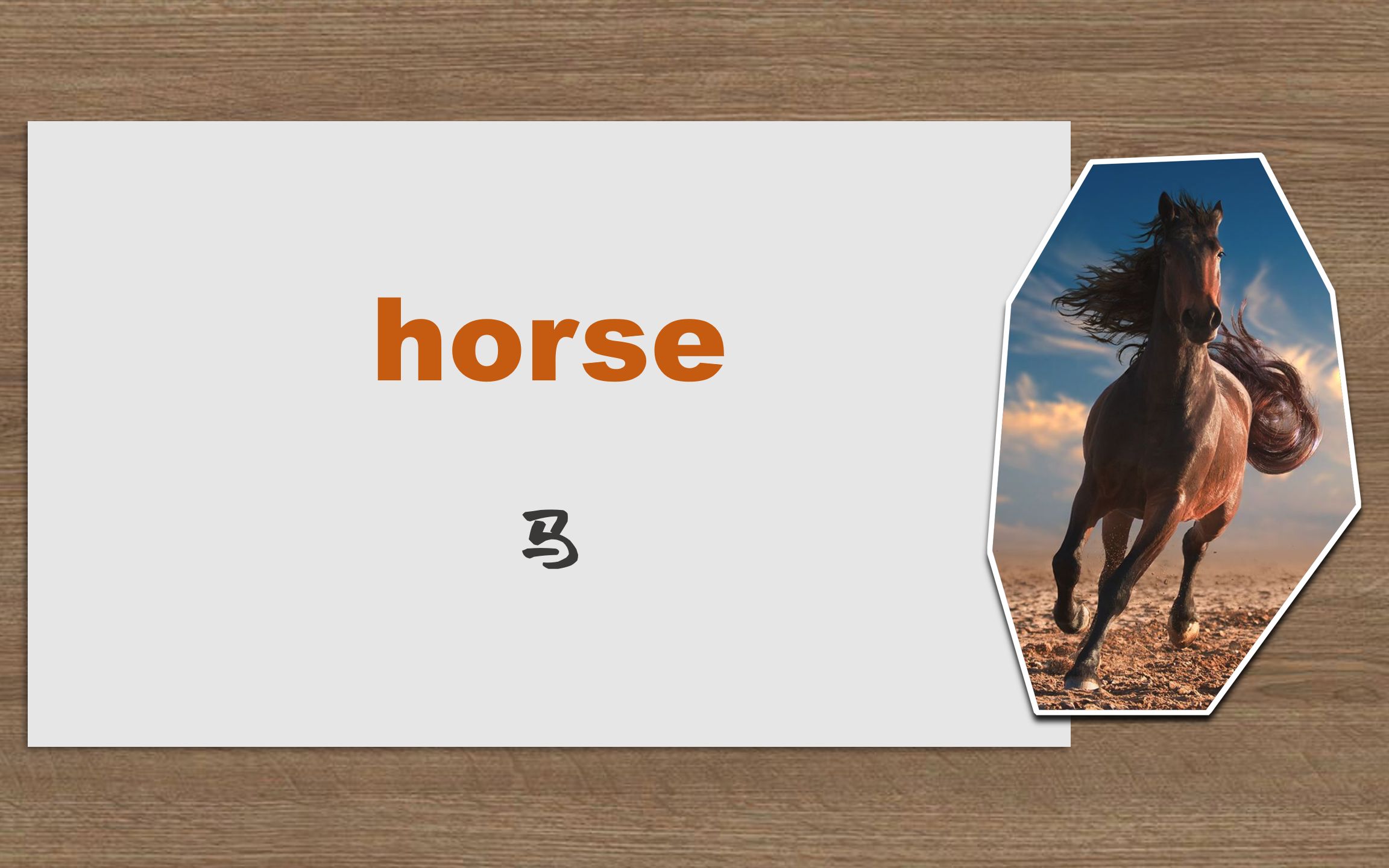 趣味英语第二十期horse马