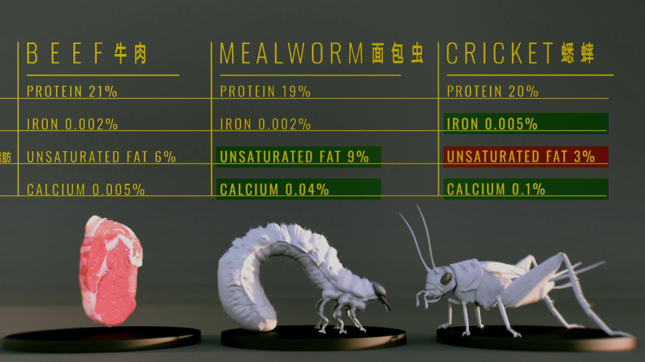 科学家为何会对食用昆虫如此着迷?营养价值堪比牛排的竞争者!哔哩哔哩bilibili