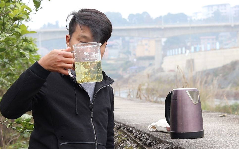张家界莓茶"黄酮之王",农村小伙泡茶,喝过的有多少