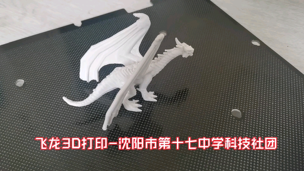 飞龙3D打印沈阳市第十七中学科技社团哔哩哔哩bilibili