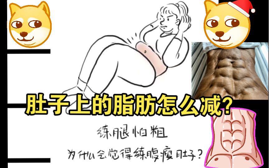 肚子上的脂肪怎么减?哔哩哔哩bilibili