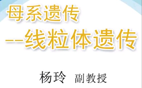 小优说优生丨母系遗传哔哩哔哩bilibili