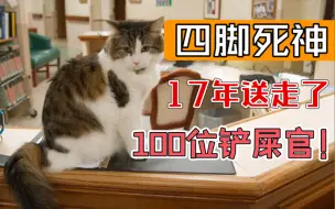 Download Video: 17年送走100多位铲屎官！它是“四脚死神”，同时它也是天使！