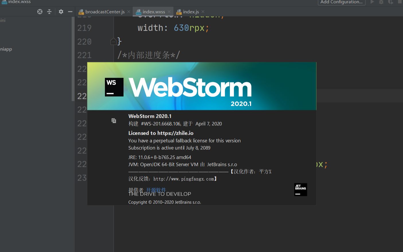 JetBrains WebStorm 2020.1.1 永久激活版哔哩哔哩bilibili