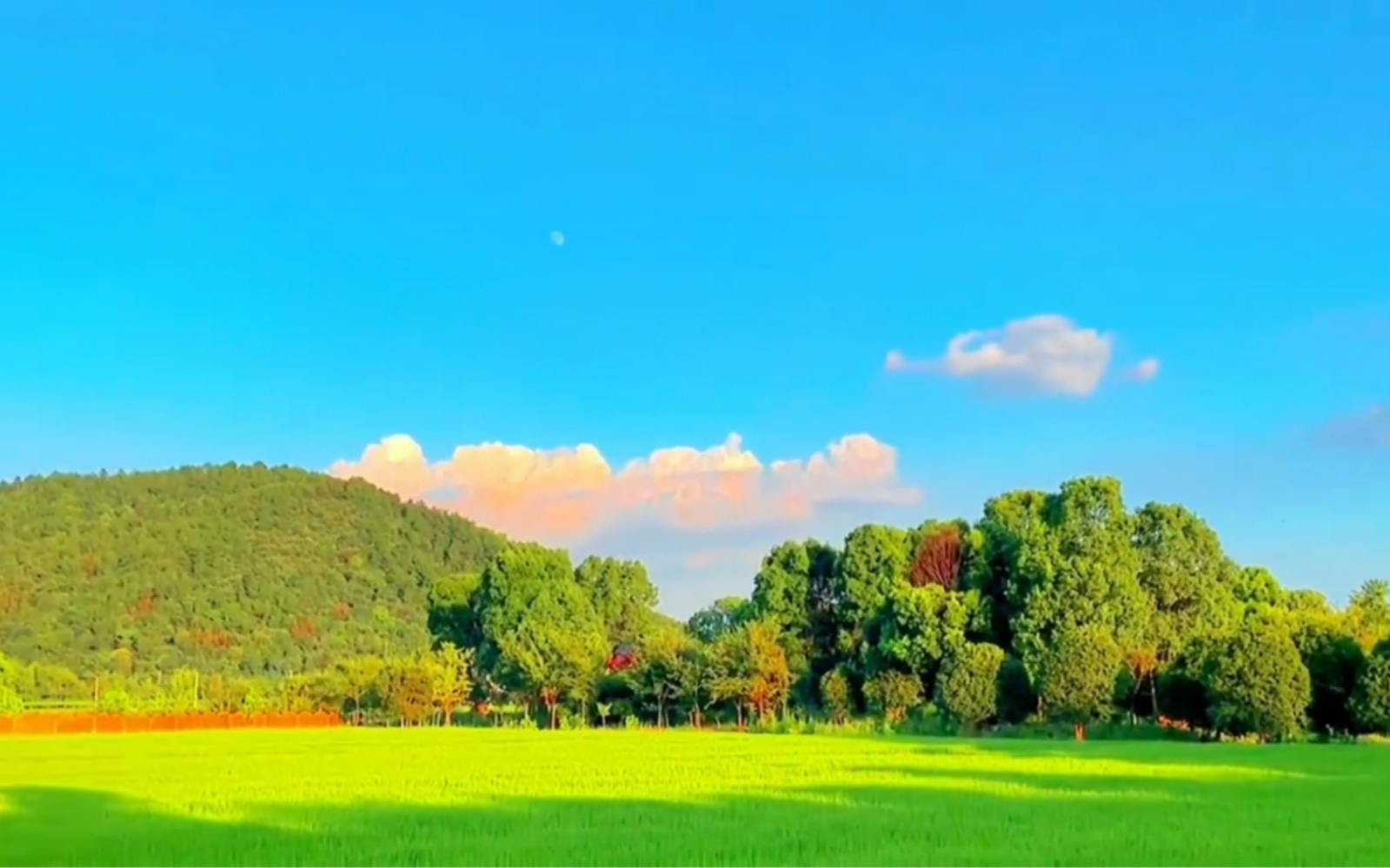 [图]“喂 夏天来咯, 你准备好了吗”