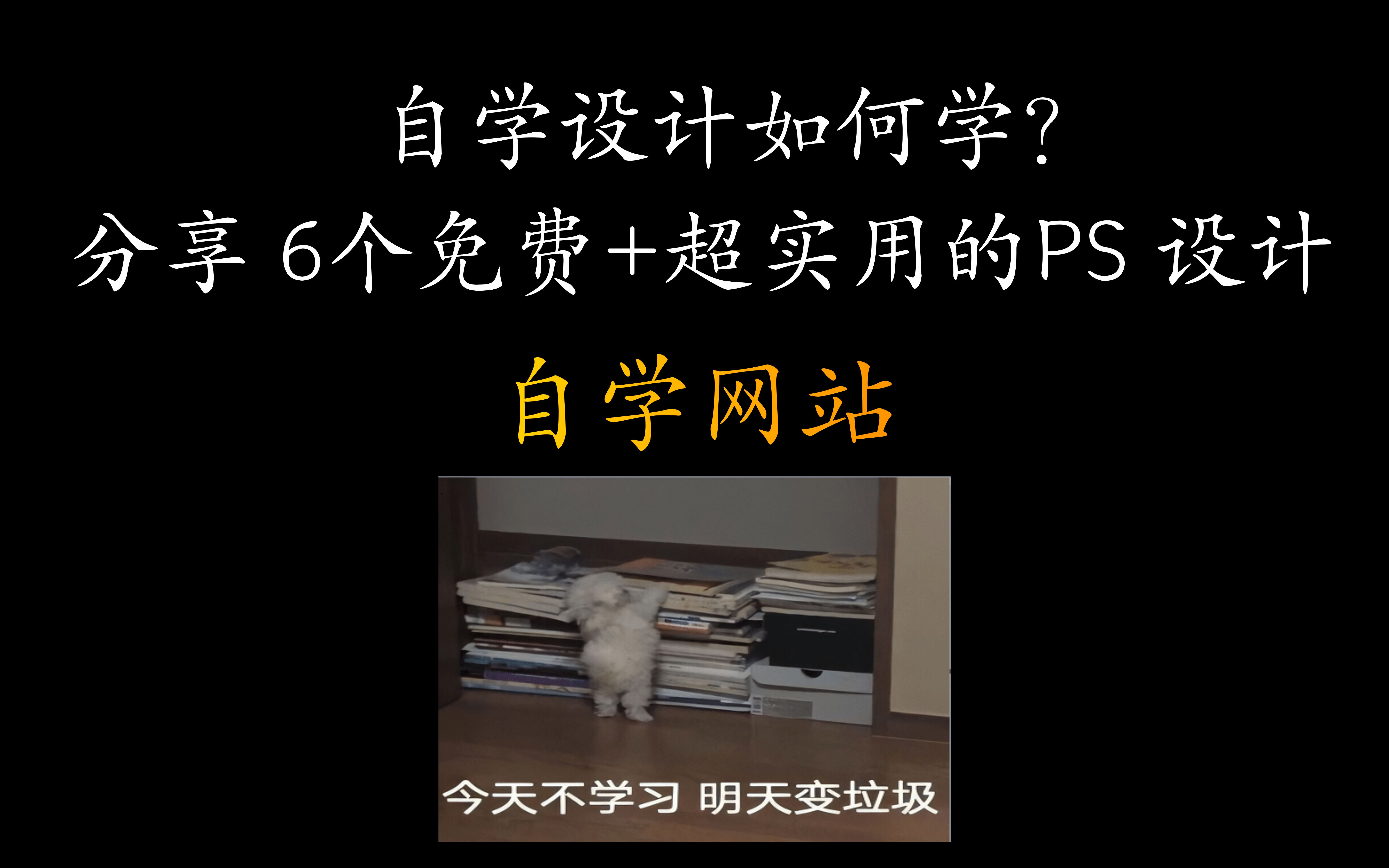 PS 设计如何学习?培训机构不想让你知道的6大自学网站,赶紧学习去接单赚钱吧~~哔哩哔哩bilibili