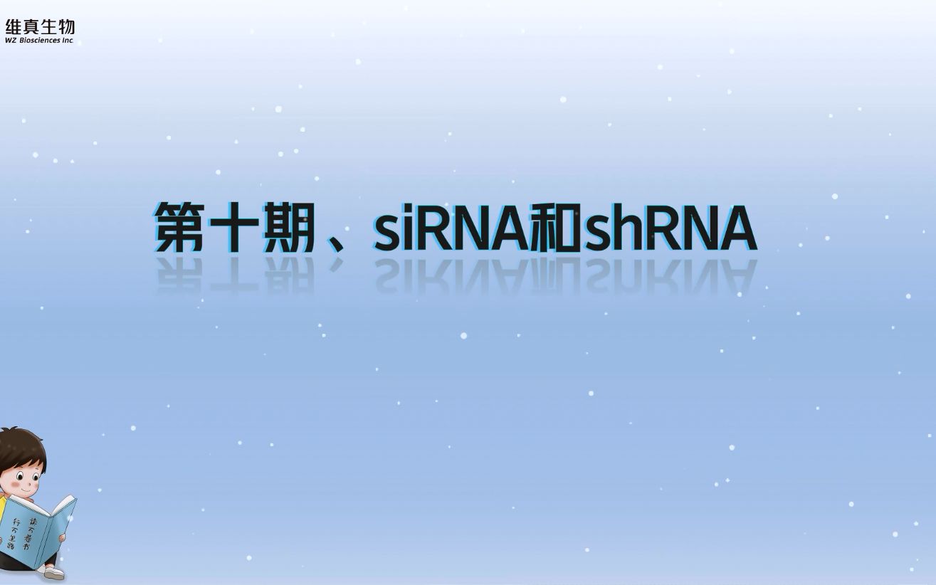 【维真生物 #分子克隆专题#】—— 第十期:siRNA和shRNA【知识分享】哔哩哔哩bilibili