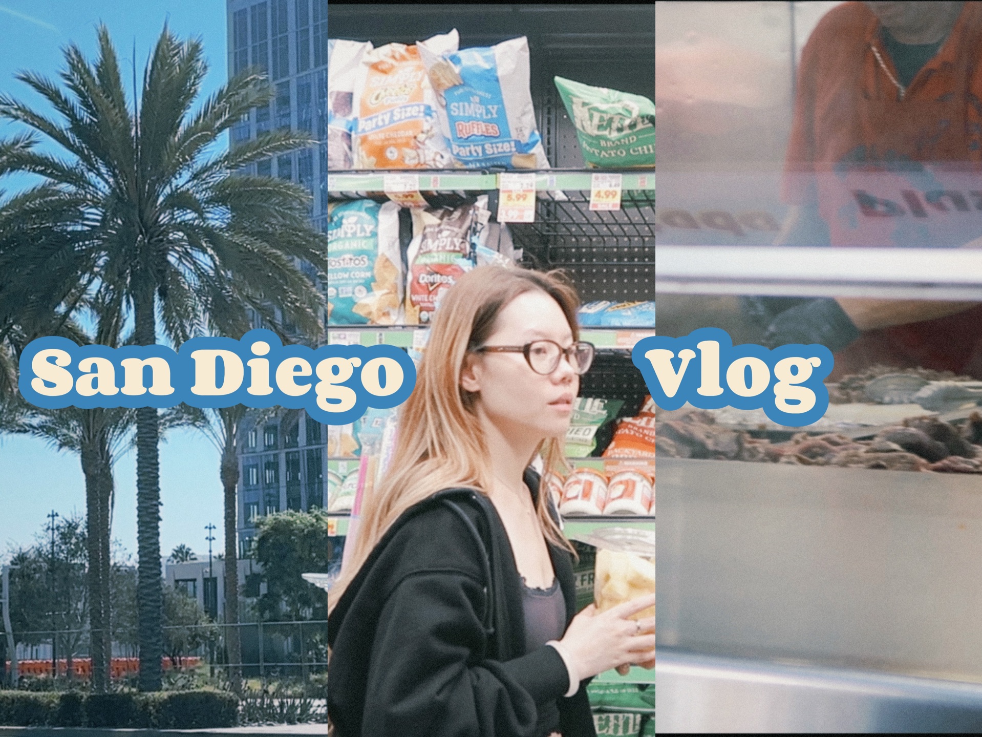 Travel Dairy|San Diego旅行日记|Day one哔哩哔哩bilibili