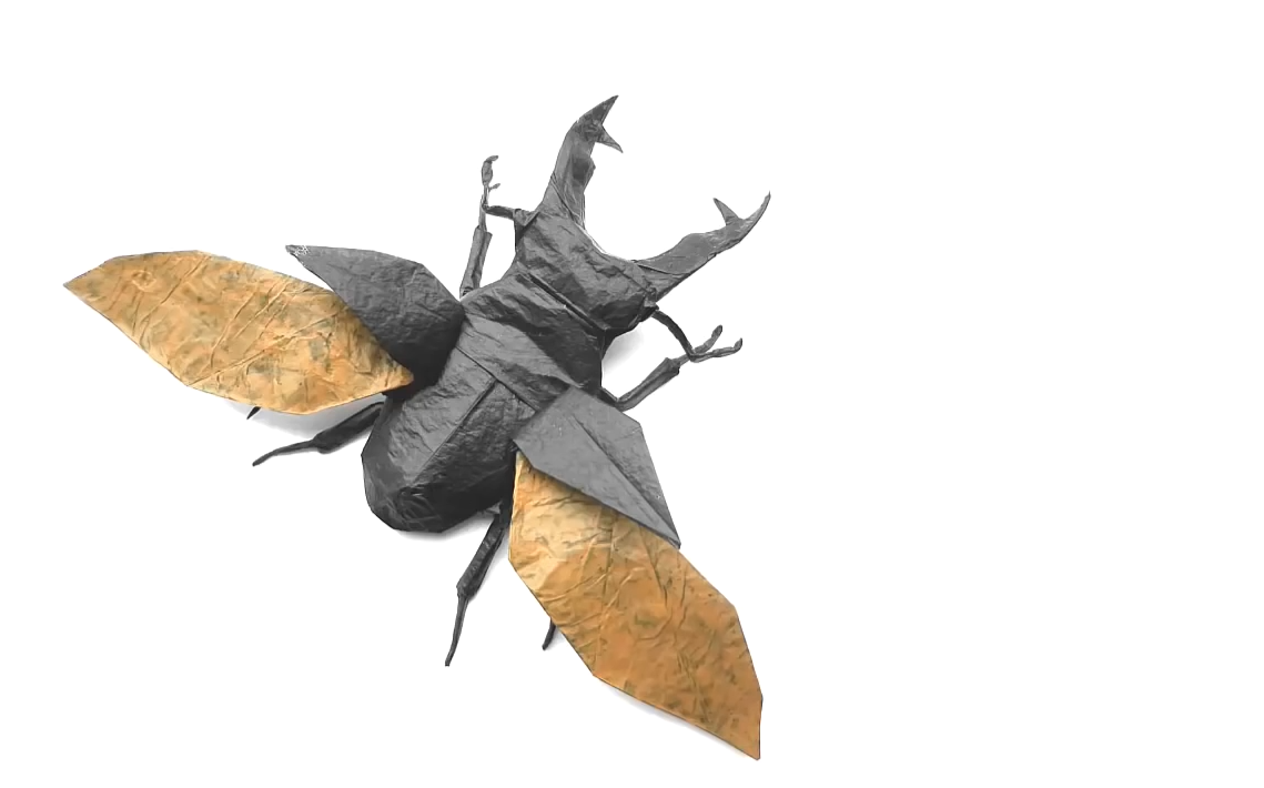 搬运折纸no21鹿角虫设计者shukikato视频录制者marianozavalaorigami