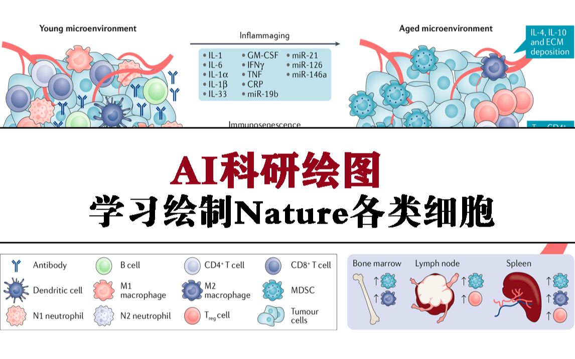 sci科研绘图——用Adobe illustrator绘制Nature细胞大图哔哩哔哩bilibili