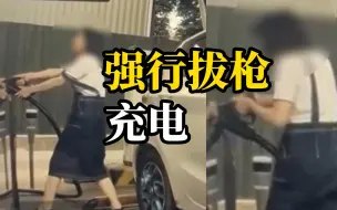 Download Video: 女子强行拔其他车的充电枪给自己的车充电，车主：车已送去检查