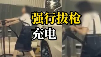 女子强行拔其他车的充电枪给自己的车充电，车主：车已送去检查
