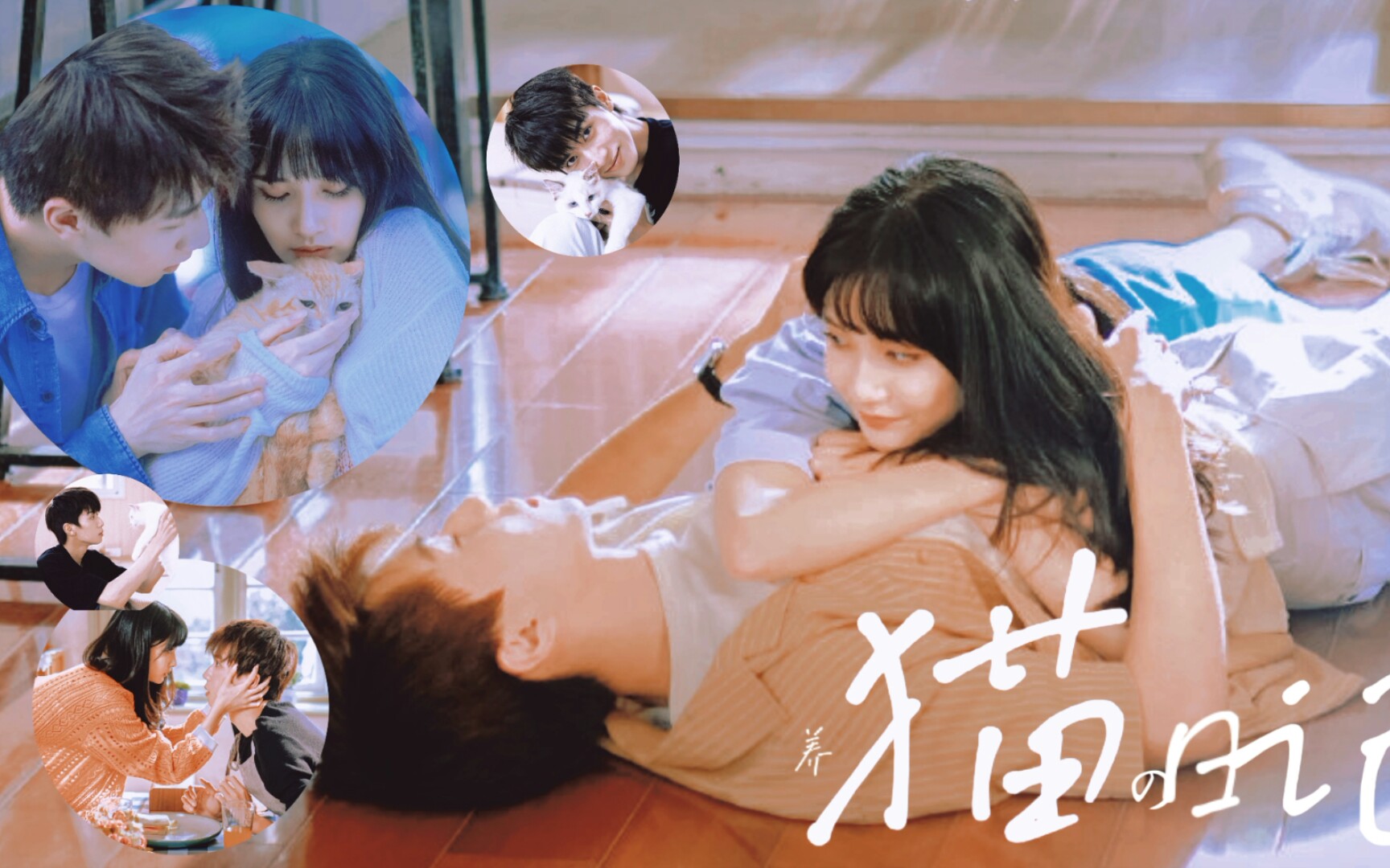 我教小猫生活的那些日常|任宥纶◎葛鑫怡