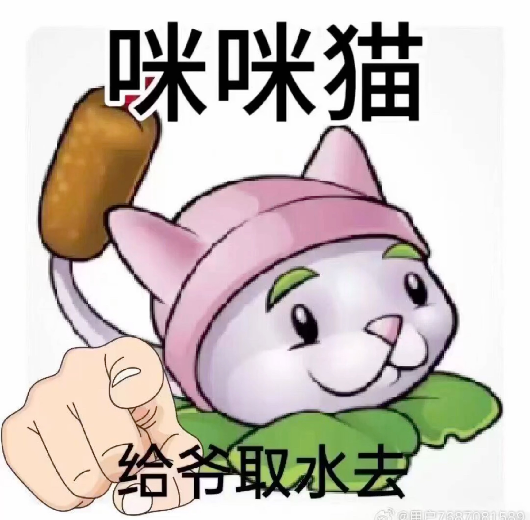 大家好啊,我是咪咪猫,今天来给上海中考考生取水了哔哩哔哩bilibili