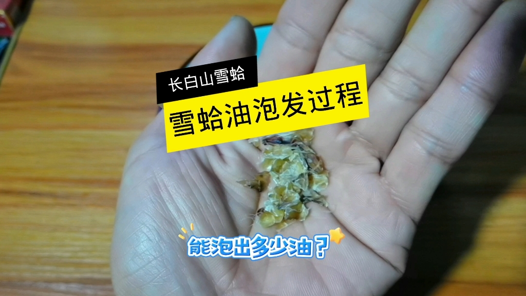 长白山雪蛤油的泡发过程!你泡的雪蛤油什么样?哔哩哔哩bilibili