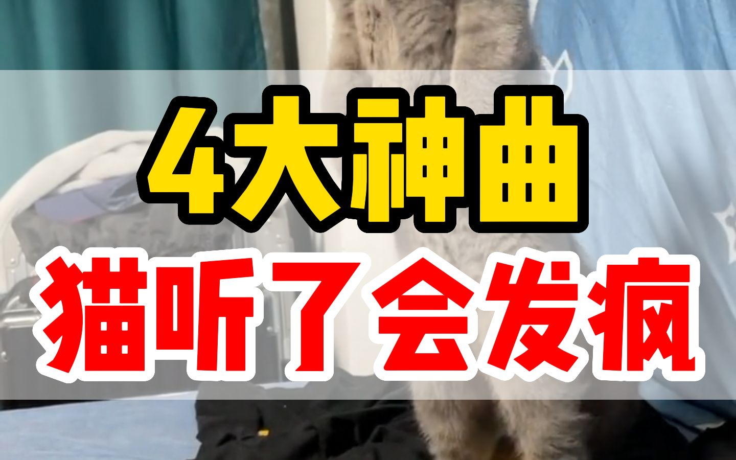 [图]猫咪上头神曲，听了会有意想不到反应！