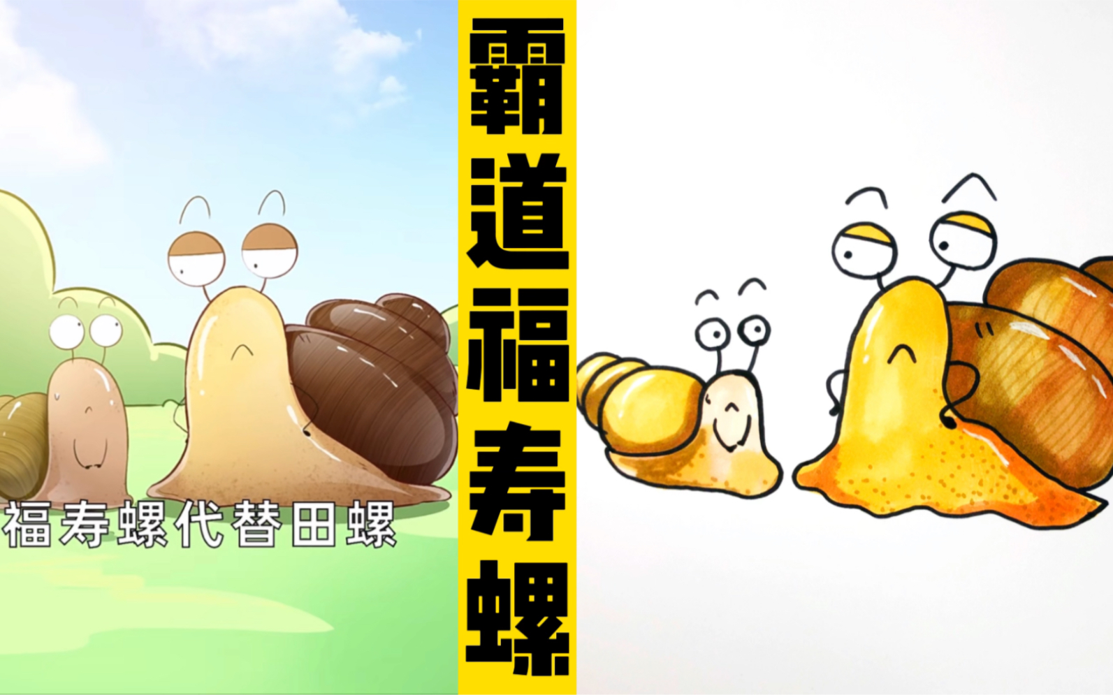 看动画,画动画人物:"霸道"的福寿螺!