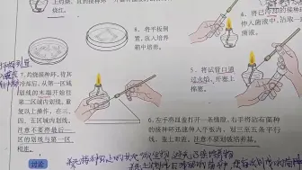 Video herunterladen: 纯化大肠杆菌（微生物的实验室培养）