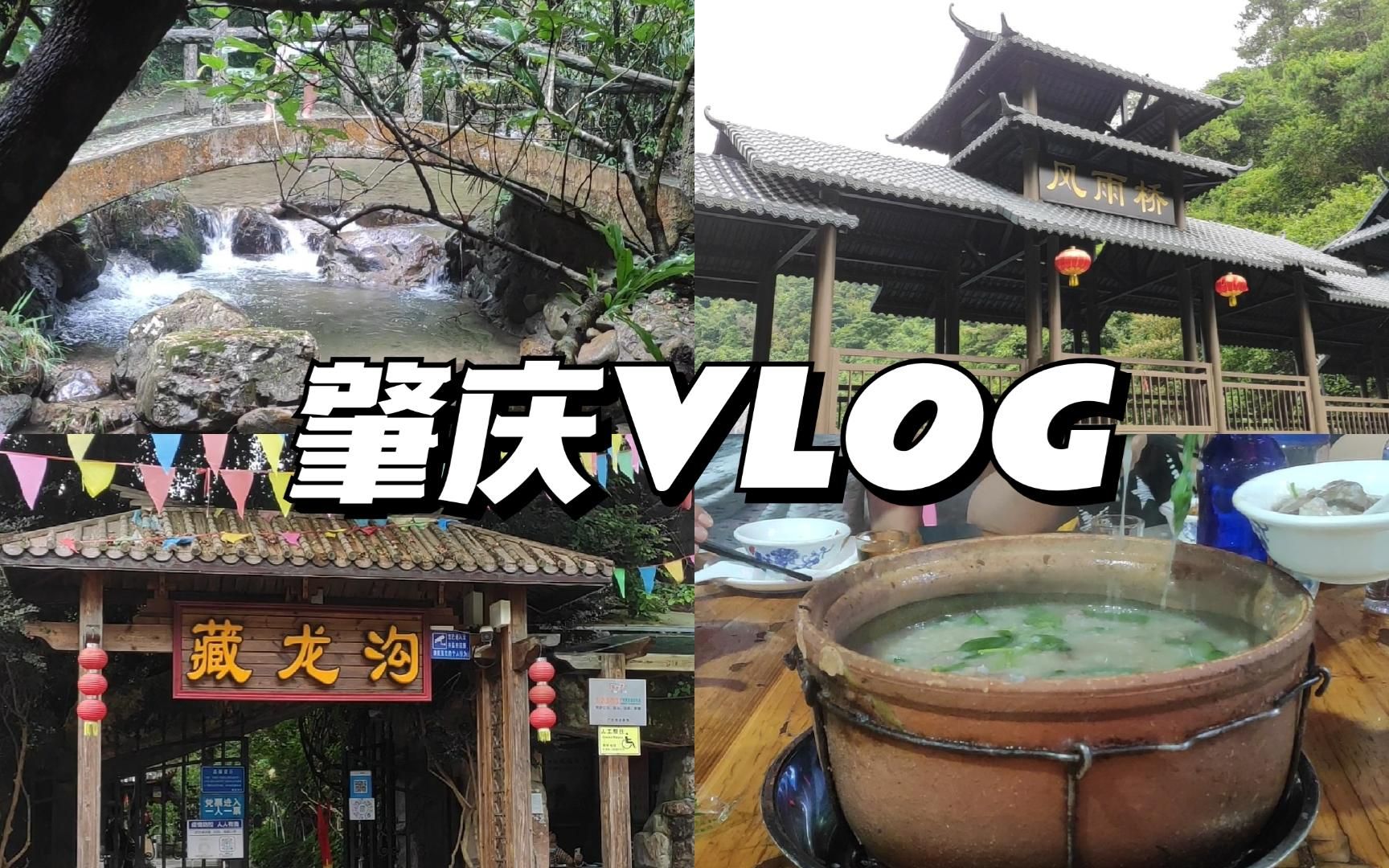 肇庆vlog#游山玩水|紫云谷|藏龙沟|第一次凌晨出门吃宵夜|旅游真的太开心了!哔哩哔哩bilibili