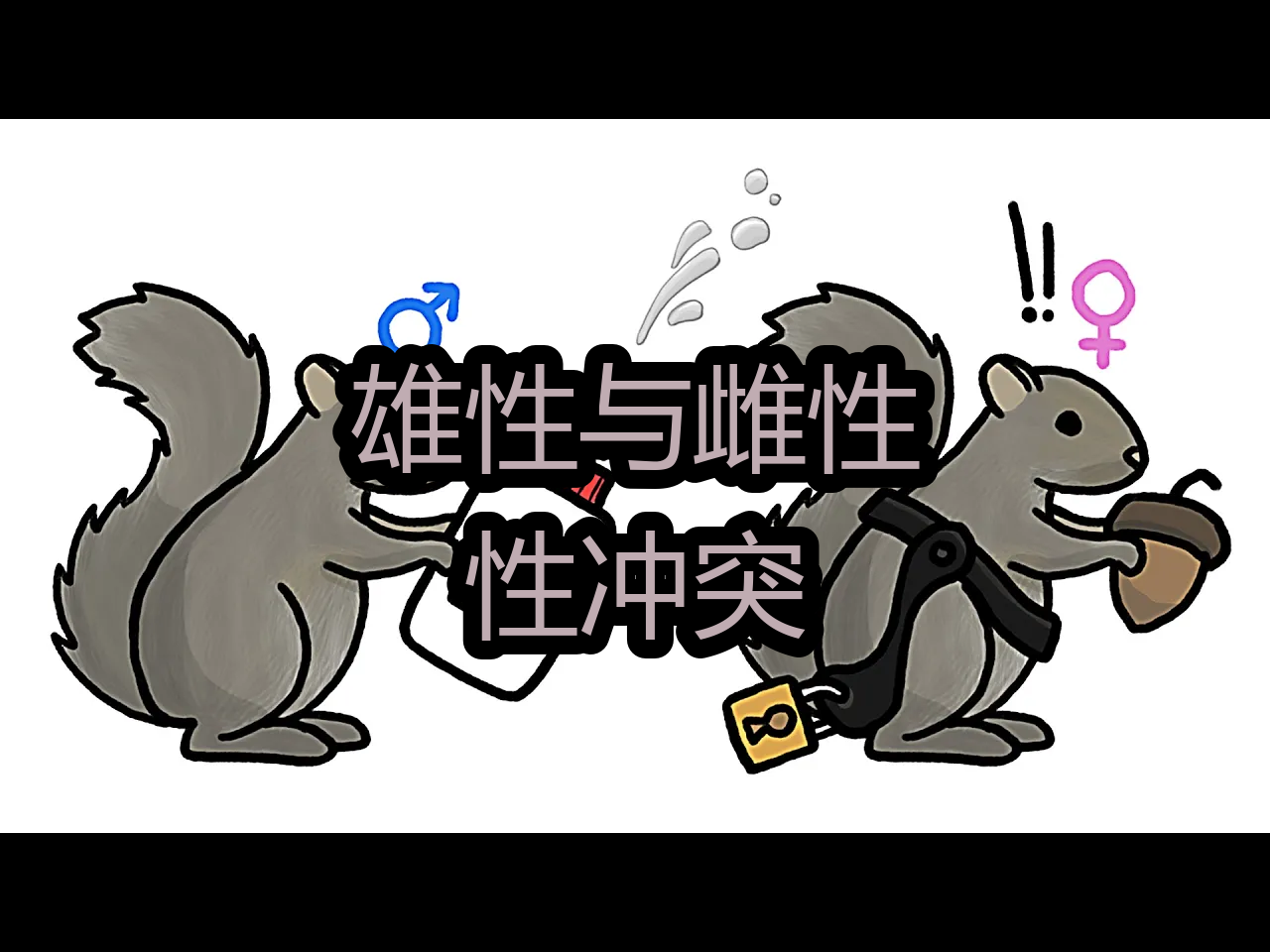 【中配】雄性与雌性:性冲突  MinuteEarth哔哩哔哩bilibili