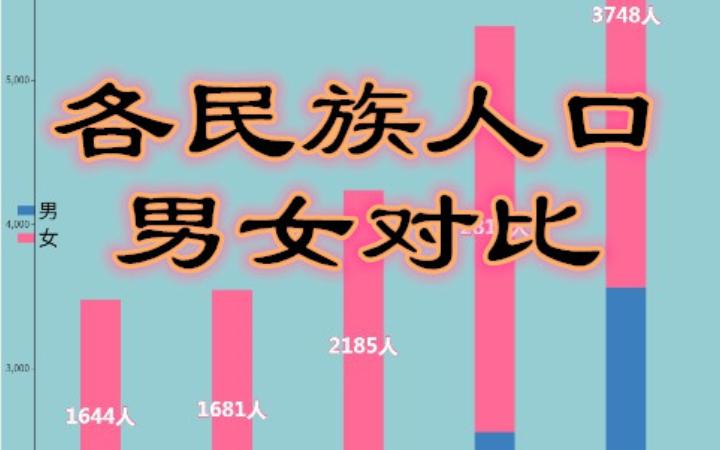 各民族人口男女对比【数据可视化】哔哩哔哩bilibili