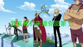 海贼王 速看司法岛 草帽一伙与cp9的城楼对峙 哔哩哔哩 つロ干杯 Bilibili