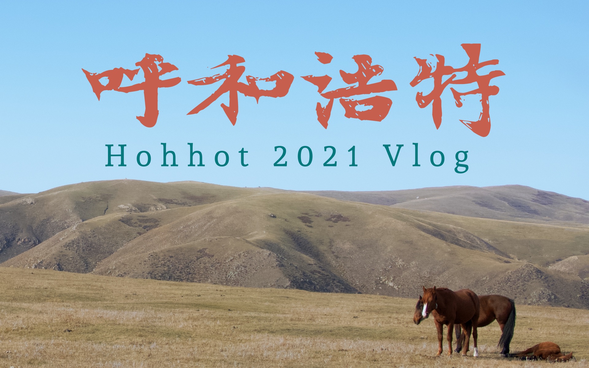 [图]【Vlog】呼和浩特旅行｜秋天的白桦林和沙漠